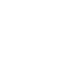 EagleRise Capital